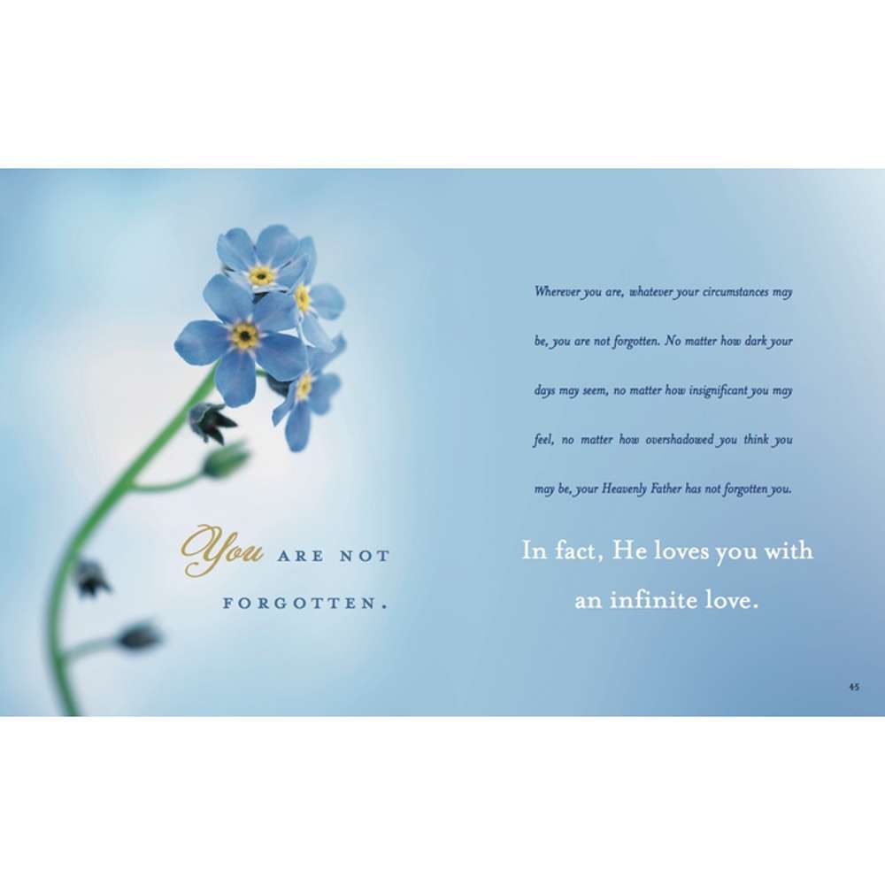 Forget Me Not 3