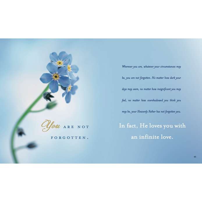 Forget Me Not, , large