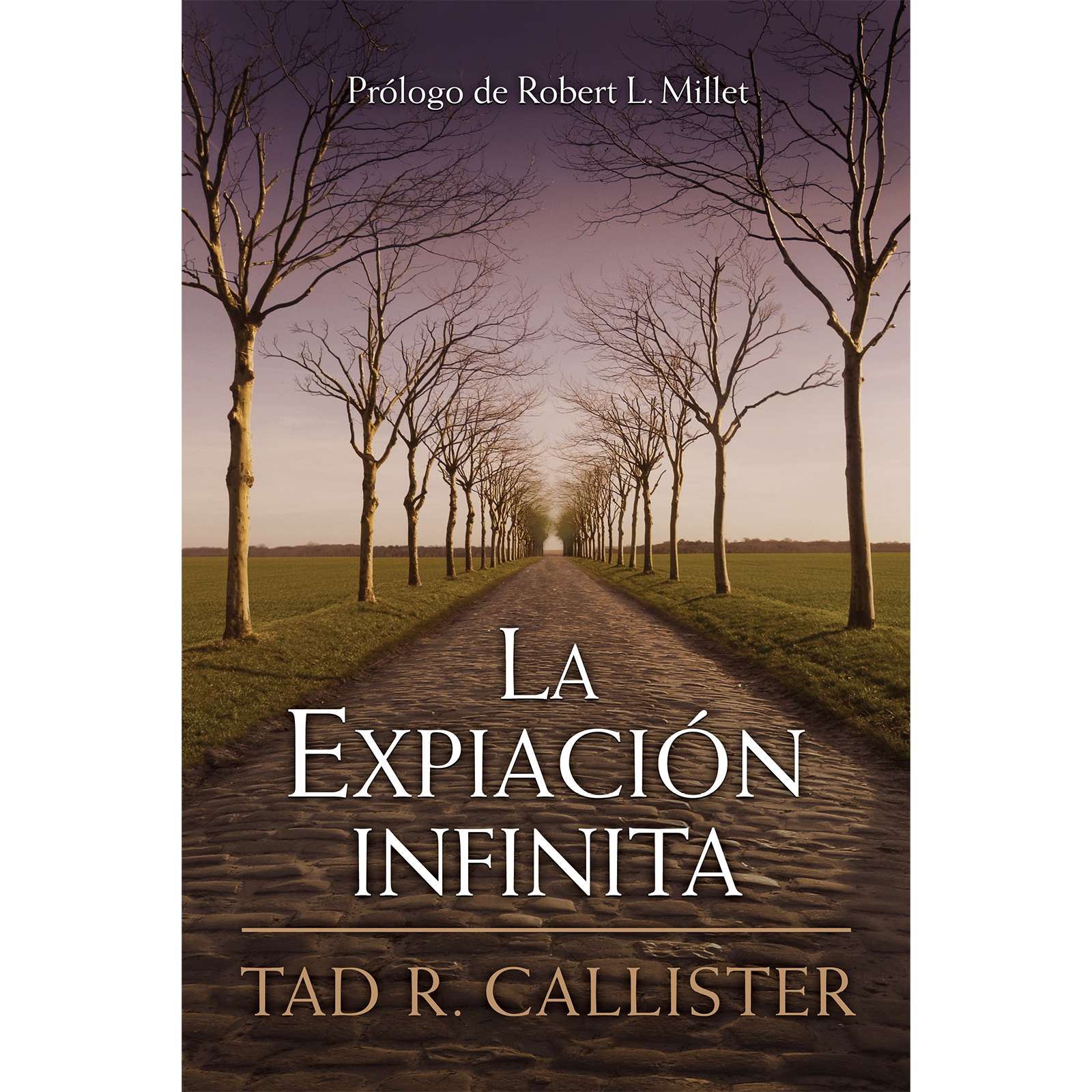 La expiaci&oacute;n infinita, , large image number 0