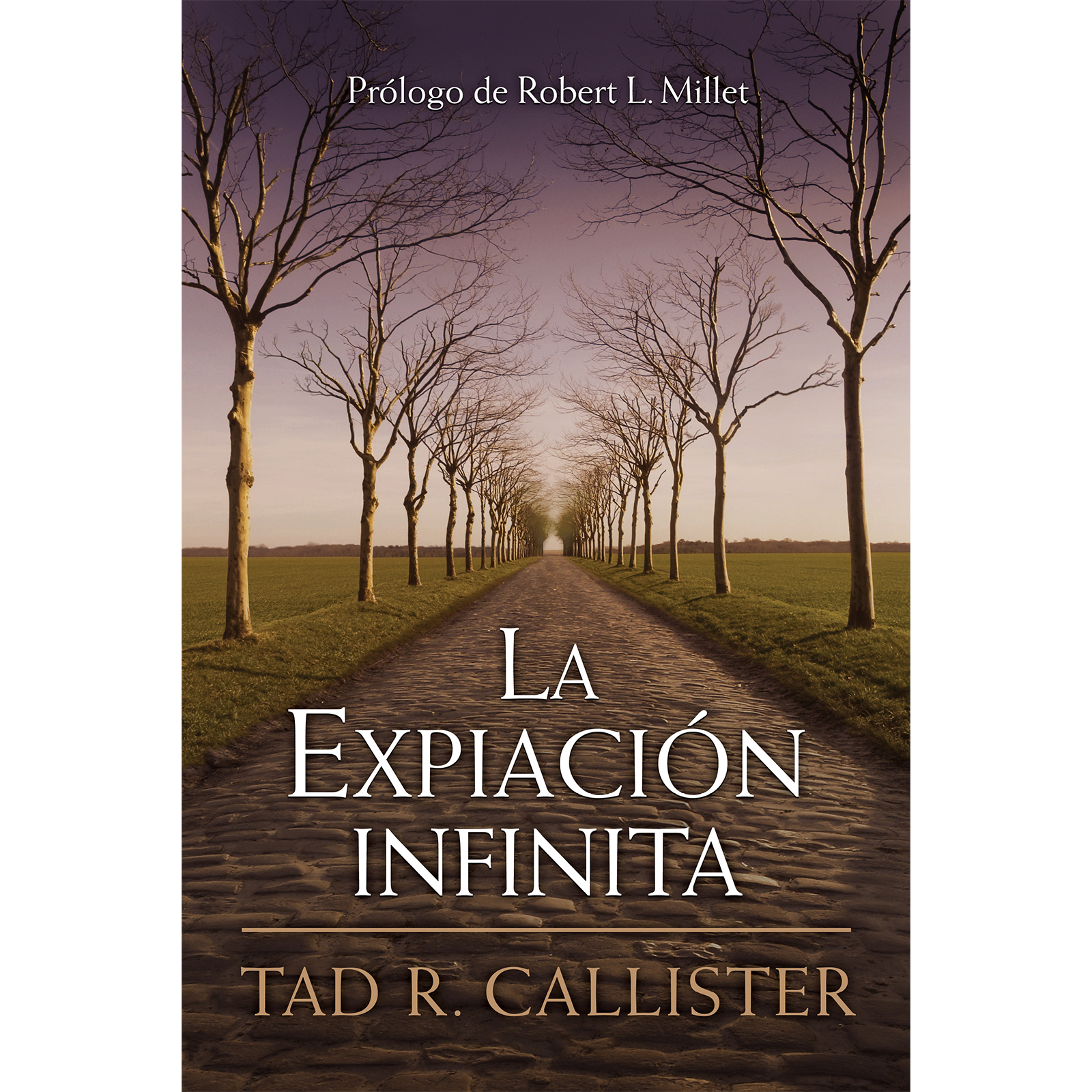 La expiaci&oacute;n infinita, , large image number 0