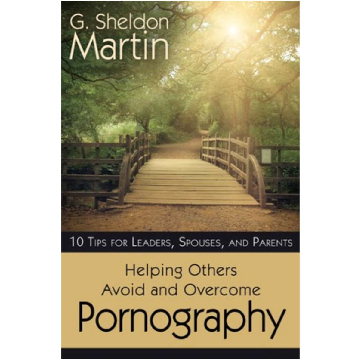 Helping Others Avoid and Overcome Pornography
