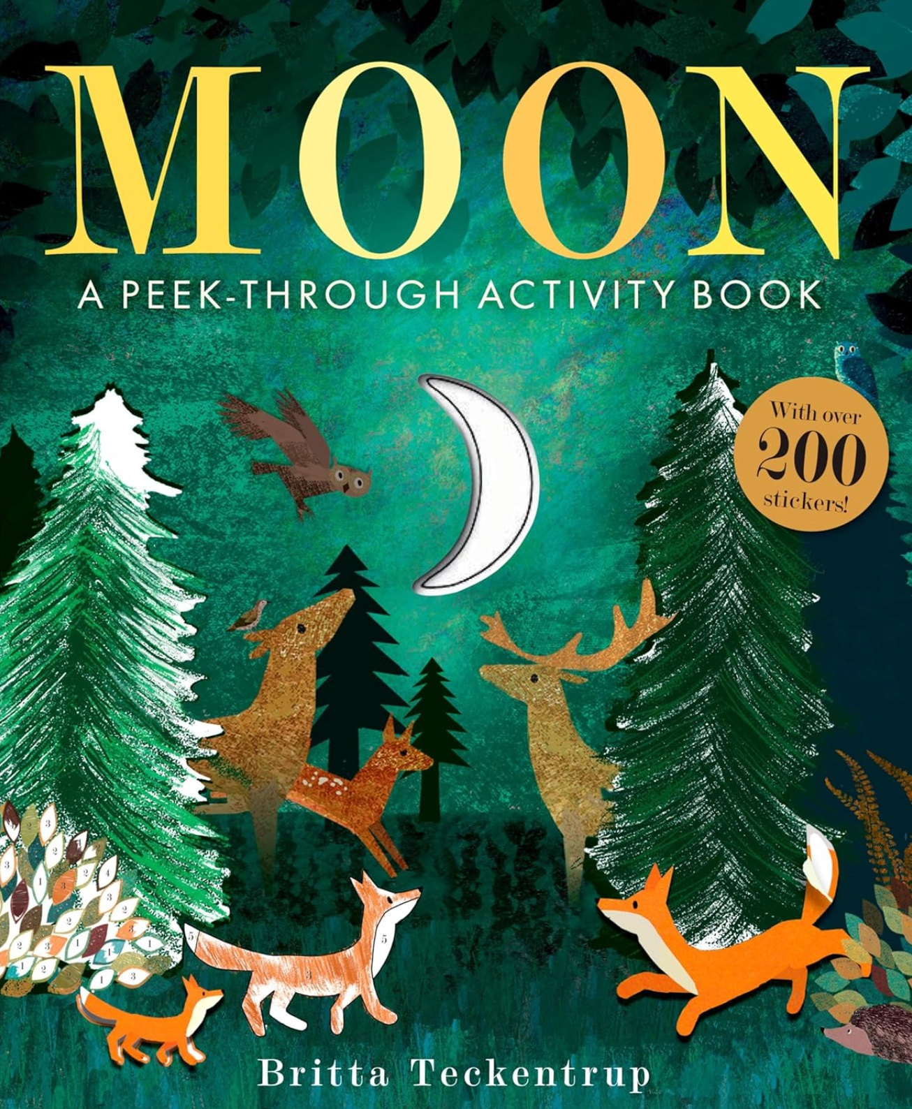 Moon: A Peek-Through Activity Book