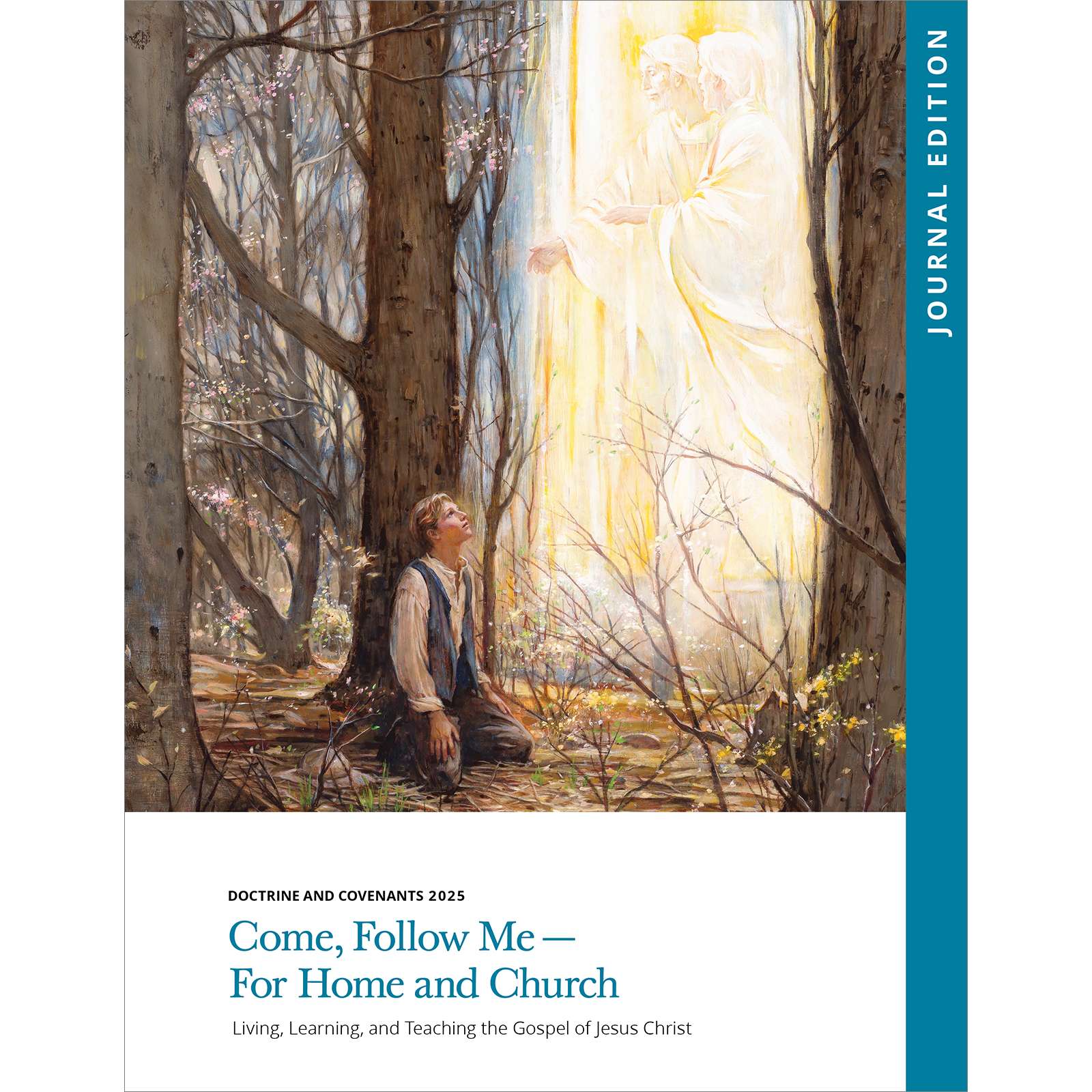 Come, Follow Me - For Home & Church, Doctrine and Covenants 2025 Journal Edition