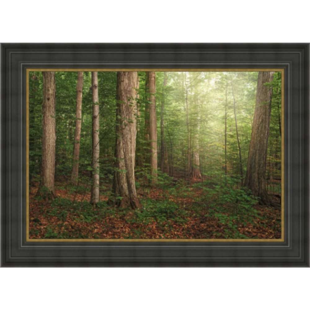 Sacred Grove (29x52 Framed Art), , large image number 0