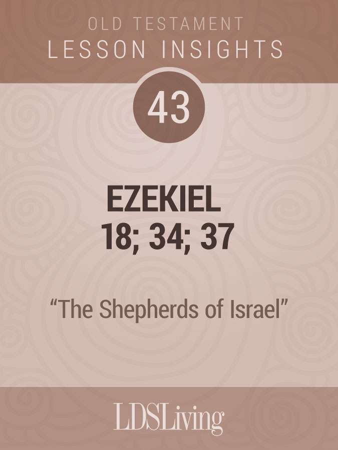 Lesson Insights Old Testament #43