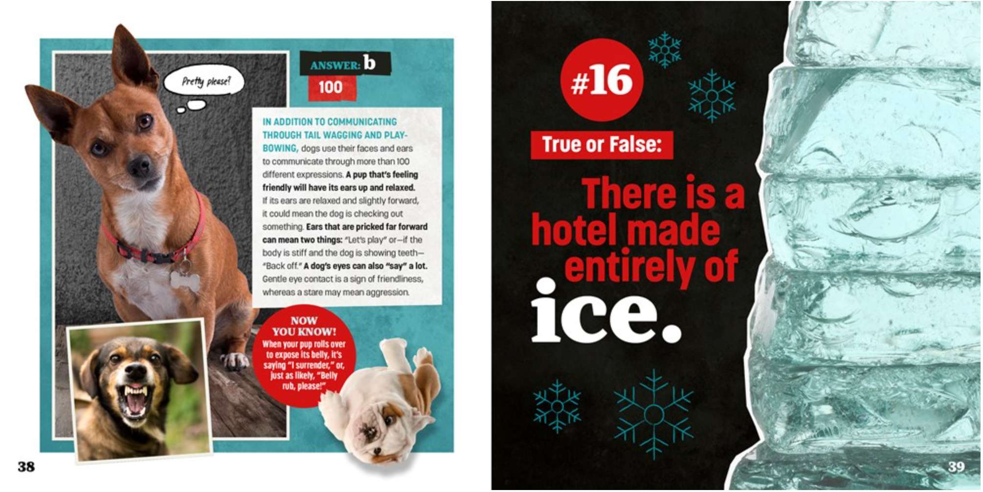 Totally Random Questions Volume 2, , large image number 1