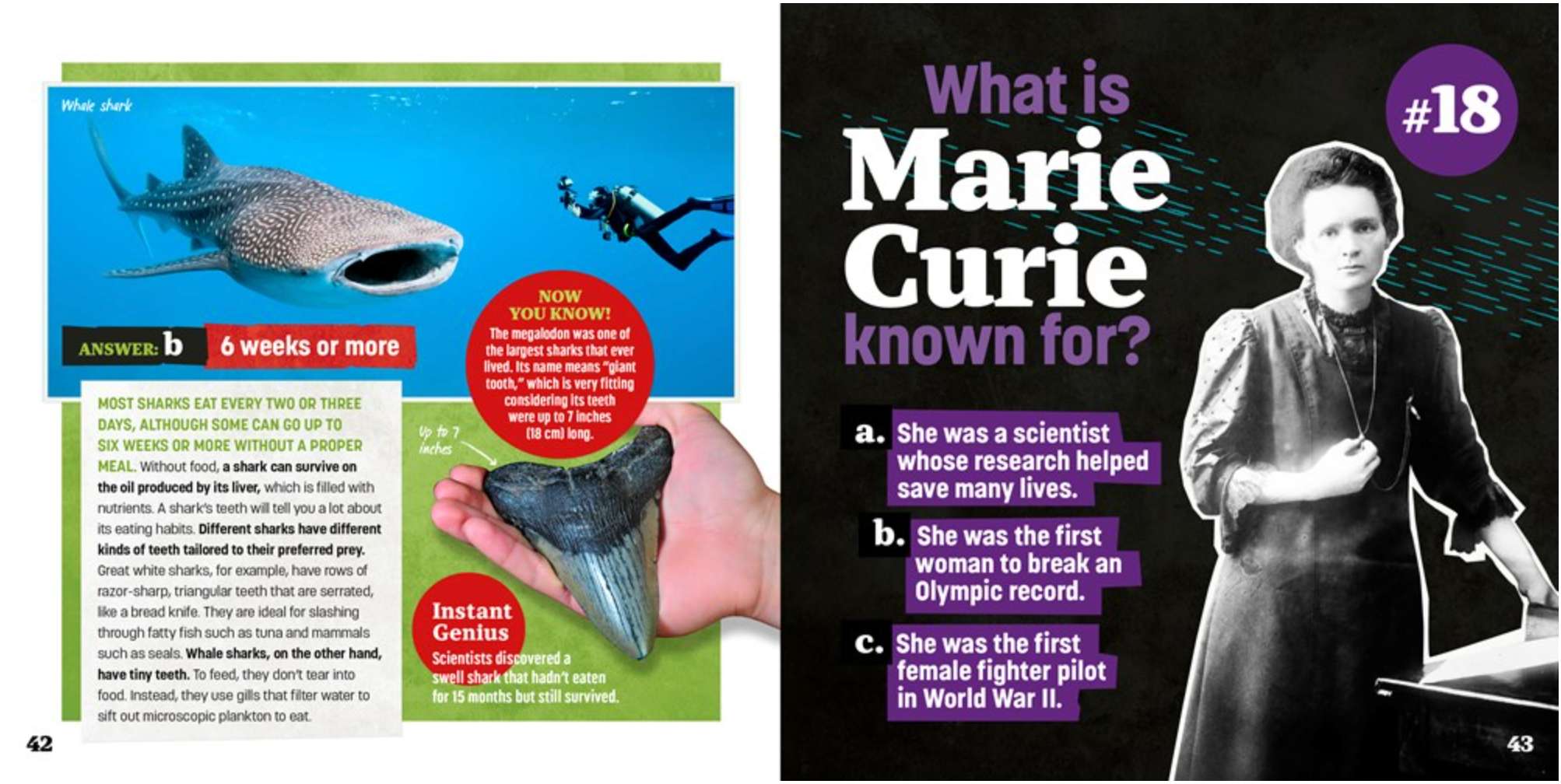 Totally Random Questions Volume 2, , large image number 2