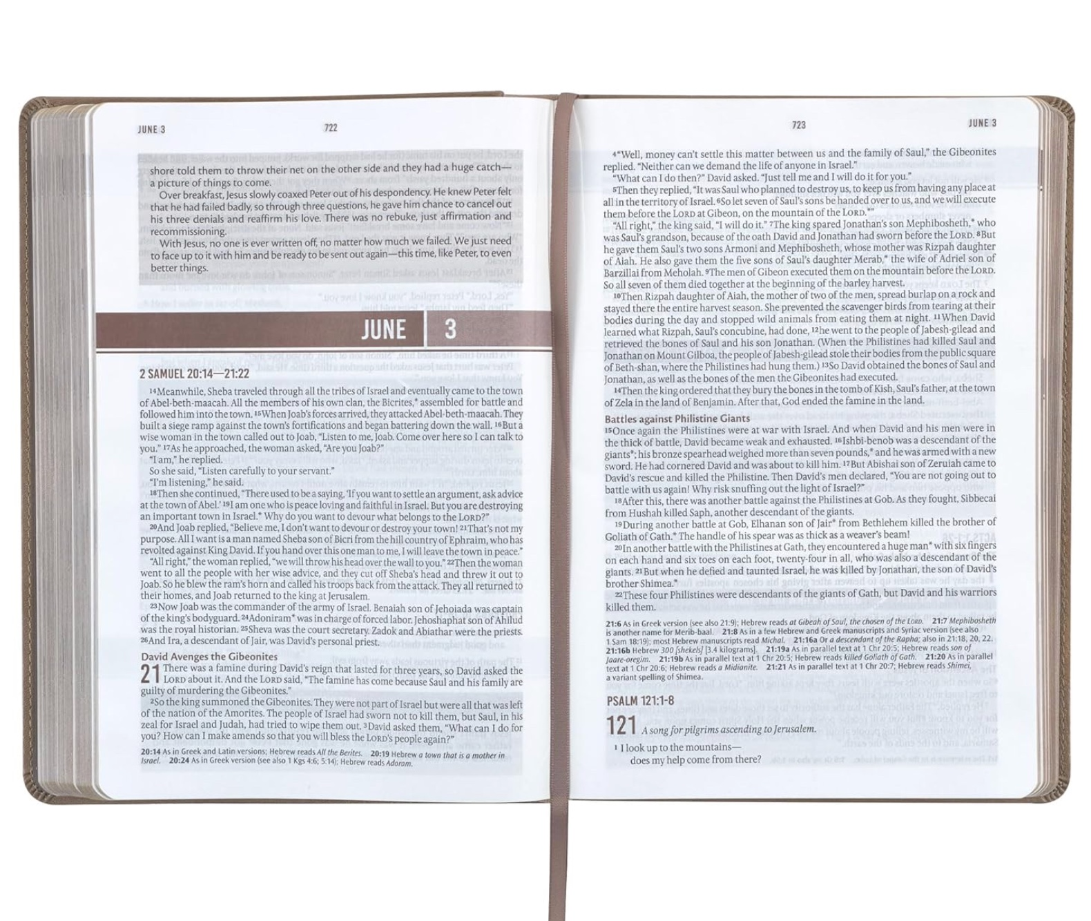 NLT Everyday Devotional Bible for Men, , large