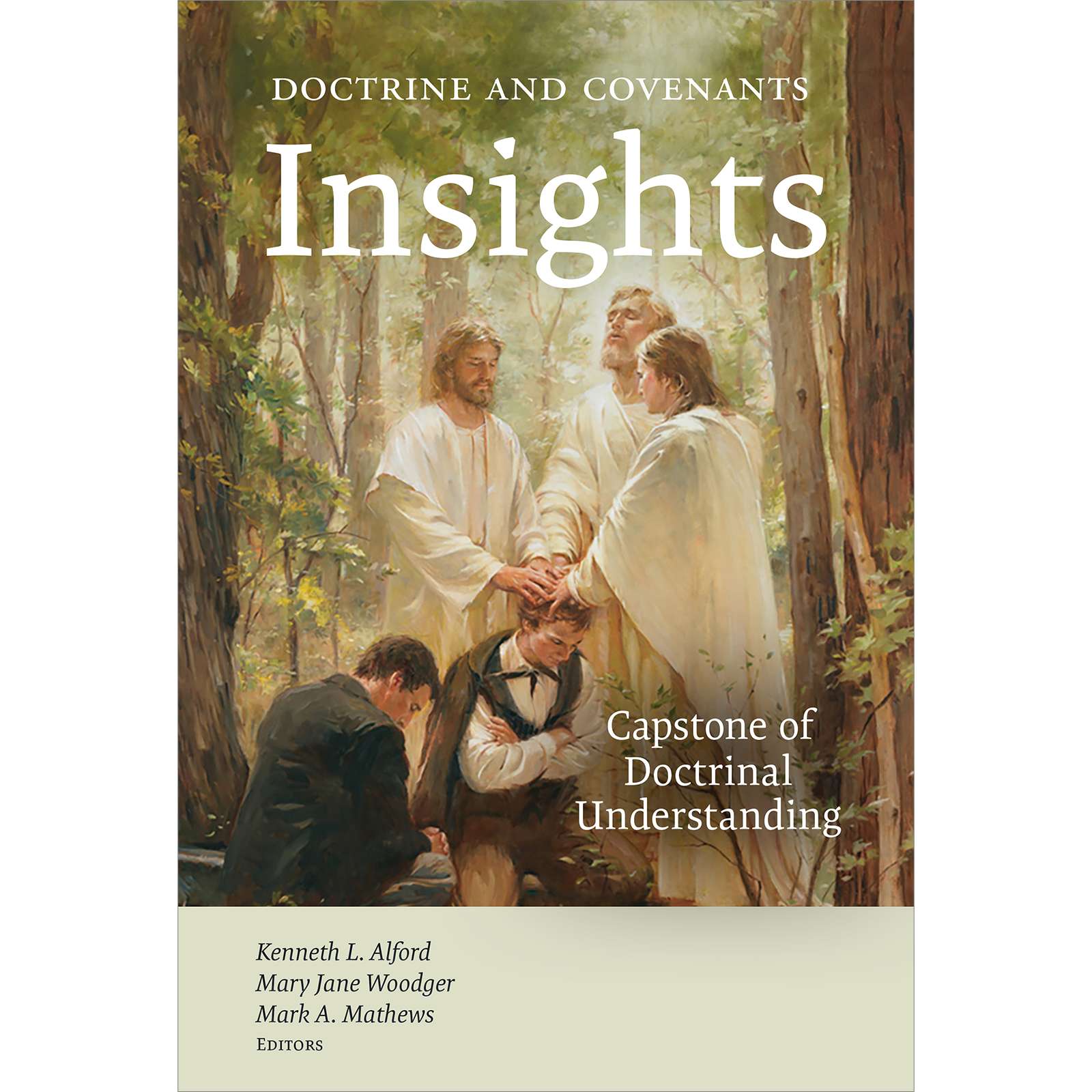 Doctrine and Covenants Insights, , large image number 0