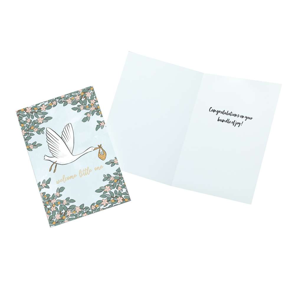 Welcome Little One Baby Greeting Card