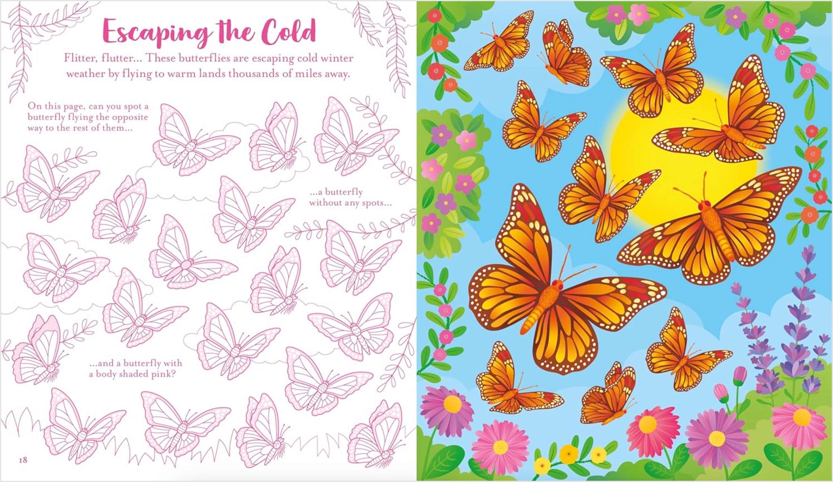 Usborne Scratch Activities Butterflies, , large