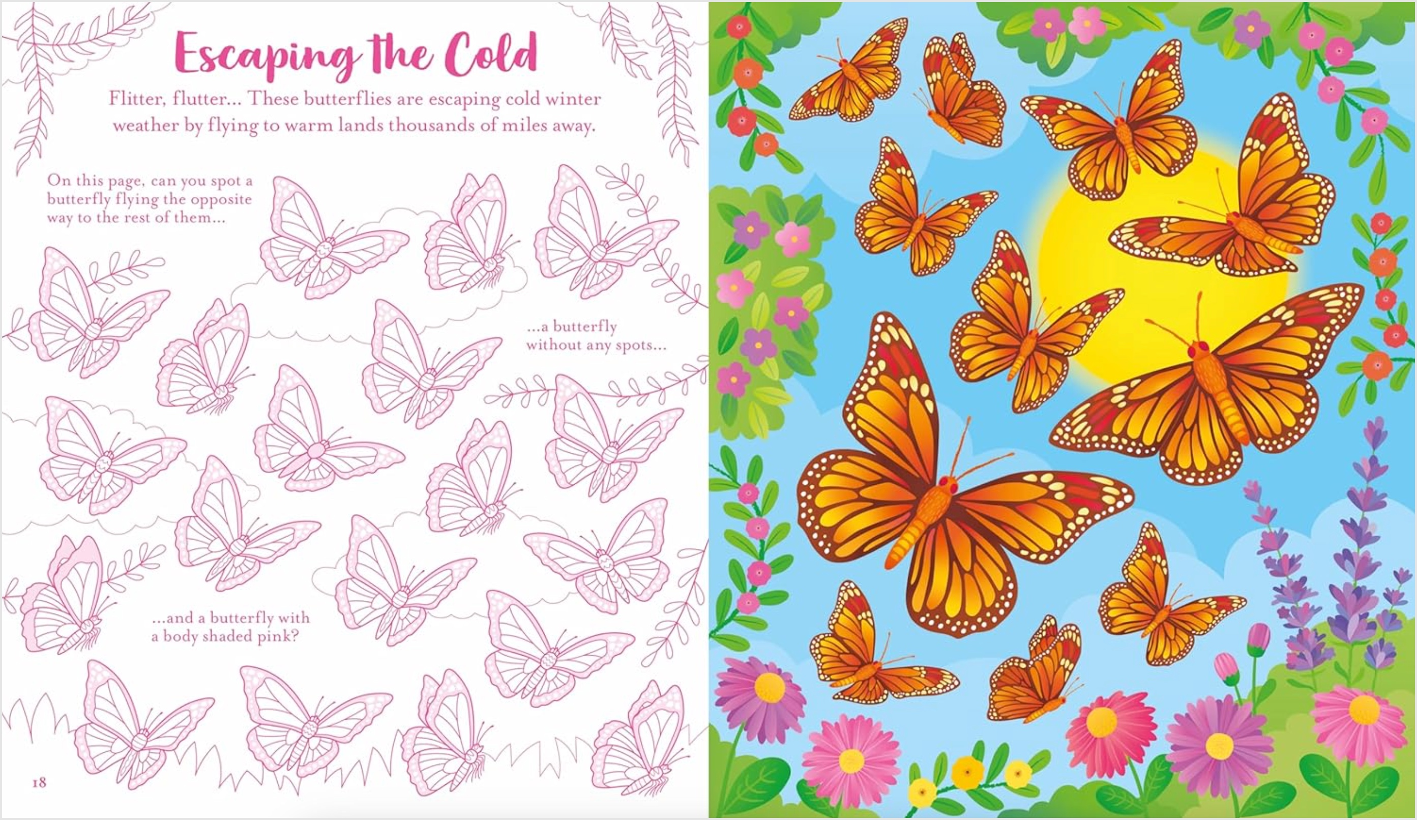 Usborne Scratch Activities Butterflies, , large