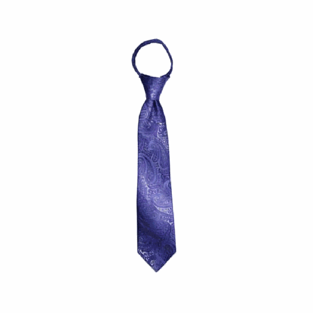 Boys' Lilac Paisley Zipper Necktie, , large