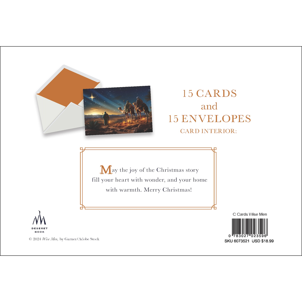Wisemen Boxed Christmas Cards, , large