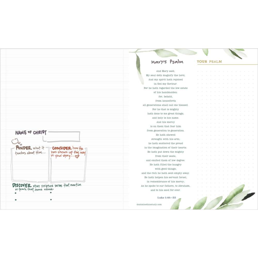 Don't Miss This in the New Testament 2023 Journal, , large image number 2