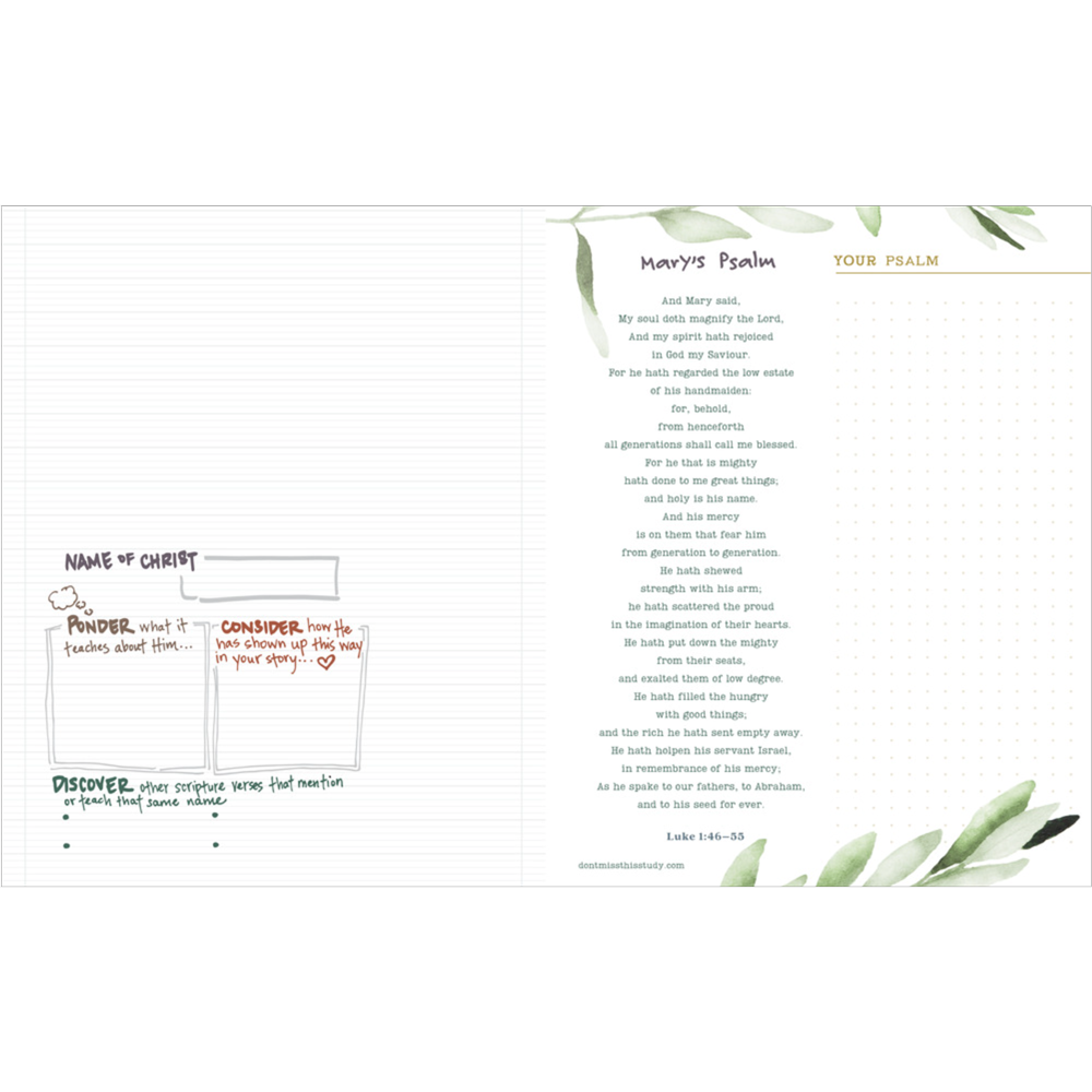 Don't Miss This in the New Testament 2023 Journal, , large image number 2