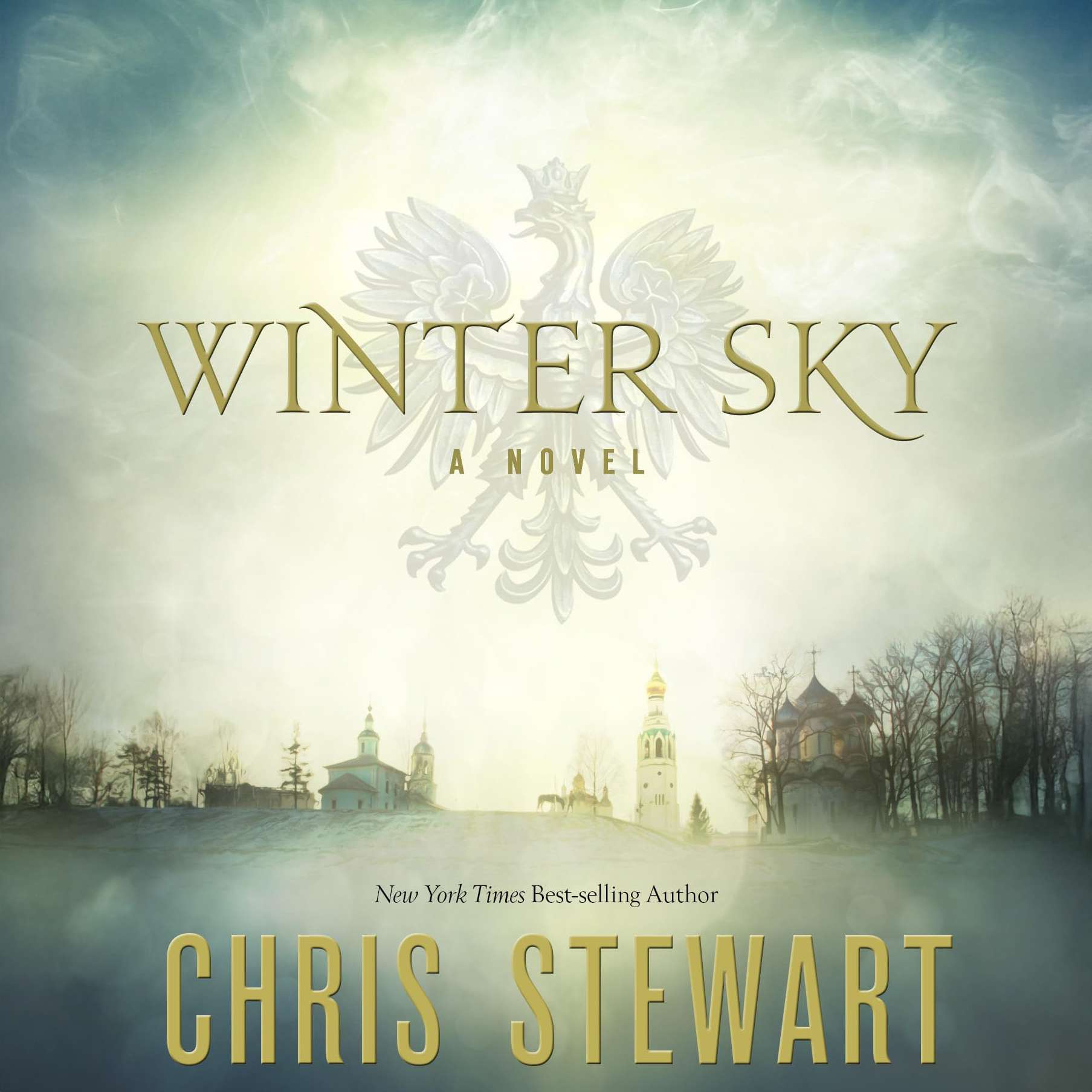 Winter Sky, , large