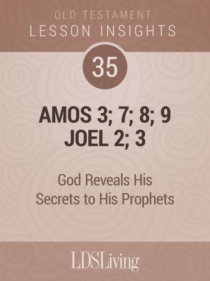 Lesson Insights Old Testament #35