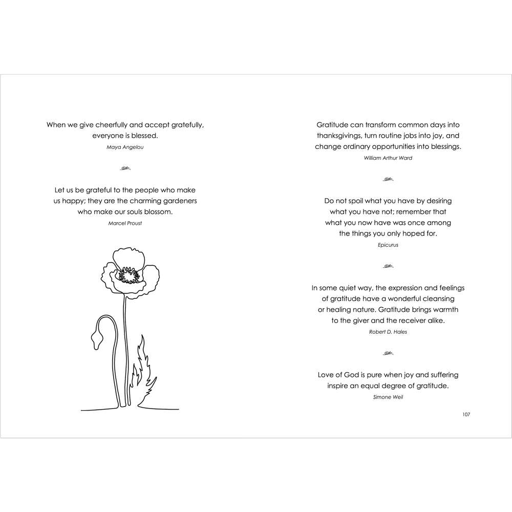 The Little Book of Sunshine for Latter-day Saints, , large image number 3