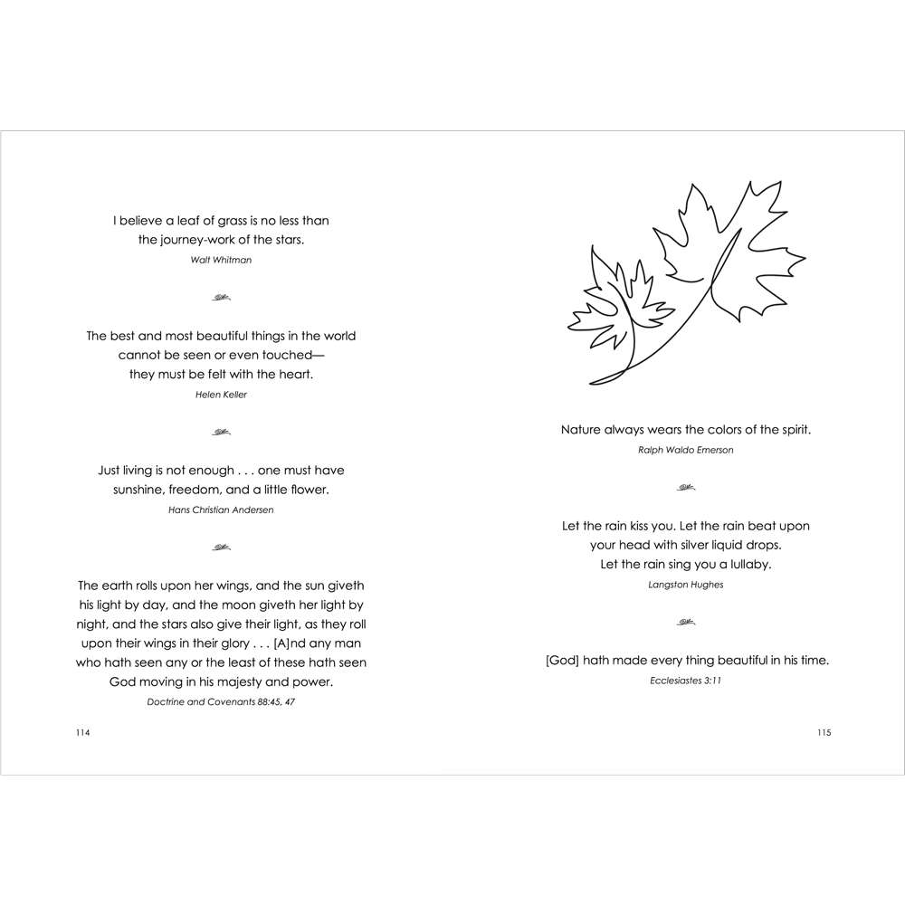 The Little Book of Sunshine for Latter-day Saints, , large image number 2