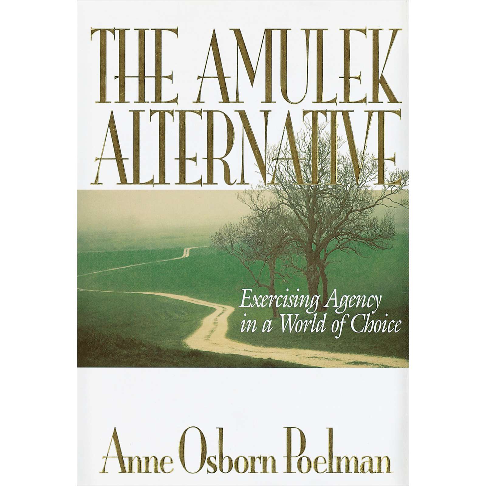 The Amulek Alternative 1
