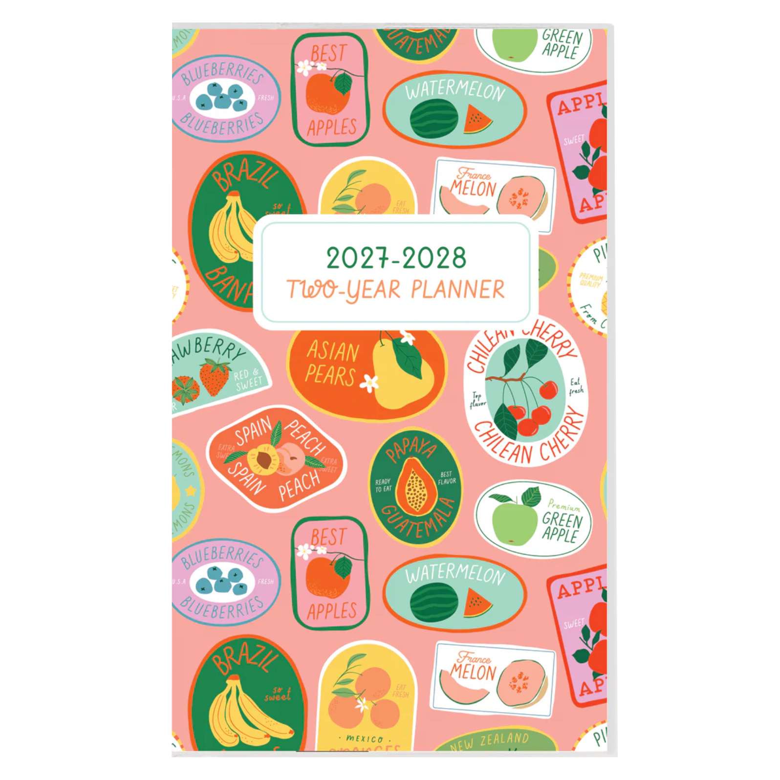 2027 Whimsical 2-Year Pocket Planner
