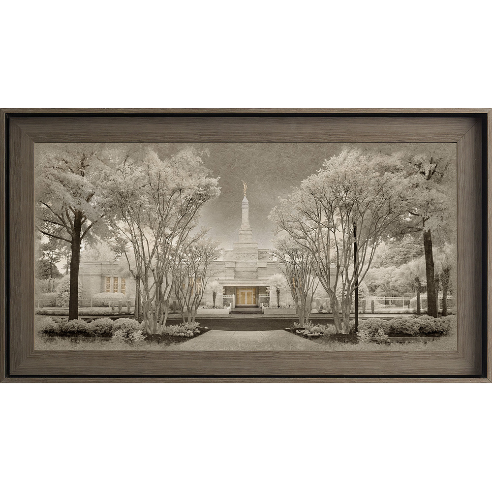 Columbia South Carolina Temple, Gray Wood (22x39 Framed Textured Paper)