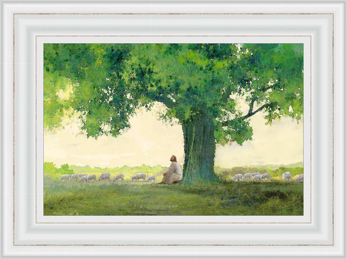 Morning Solace (24x32 Framed Size)