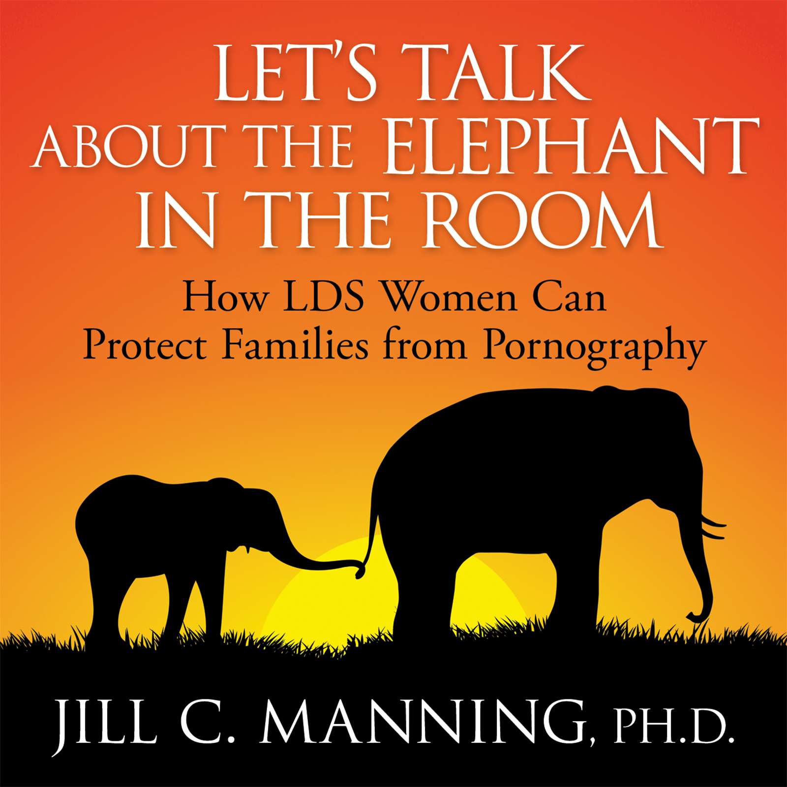 Let's Talk About the Elephant in the Room