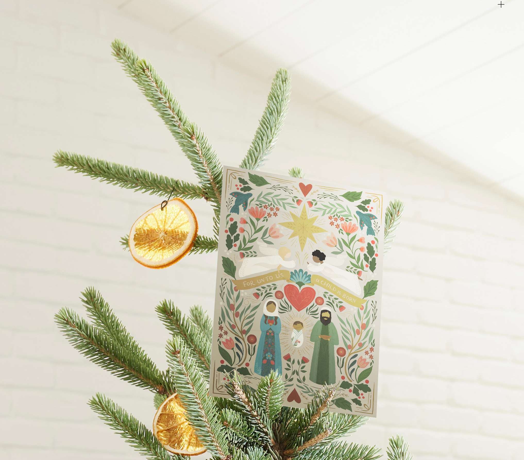 Christmas in Bloom Boxed Christmas Cards, , large image number 4