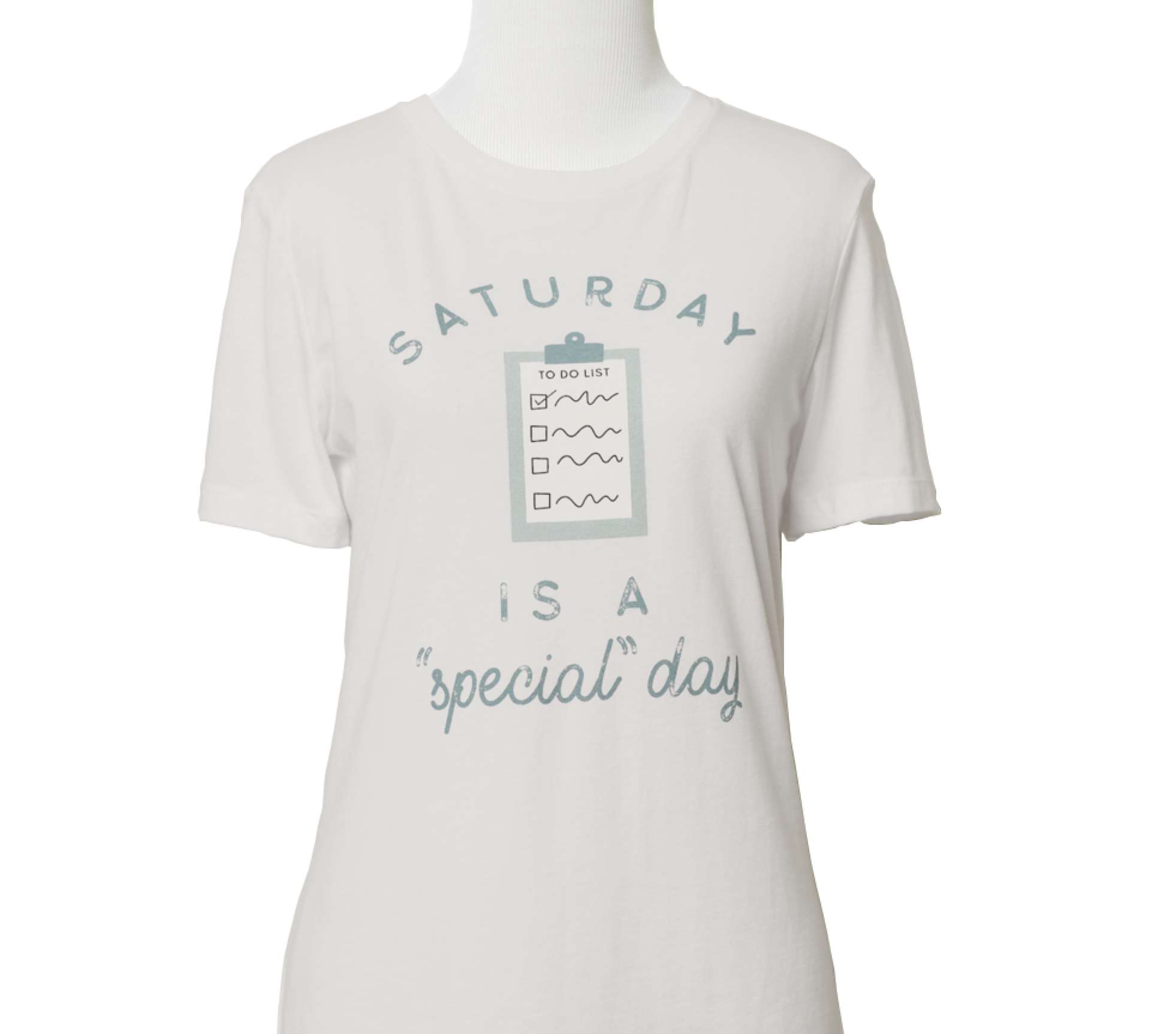 Saturday Is a Special Day Women's T-Shirt