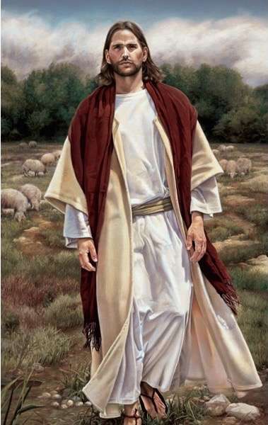 Seeking the One No-Flip Recommend Holder, , large image number 1