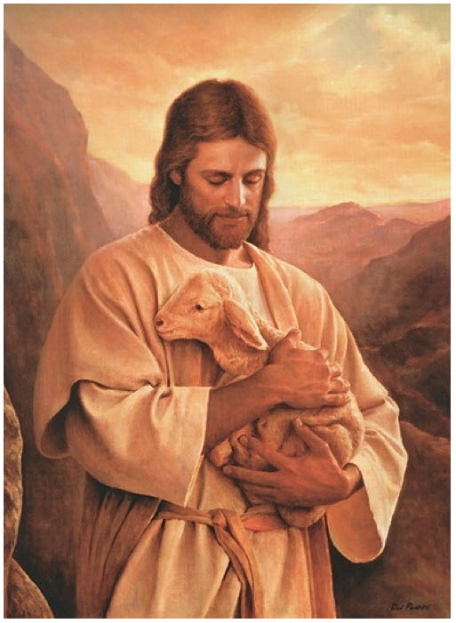 Lost Lamb (3x5 Print)