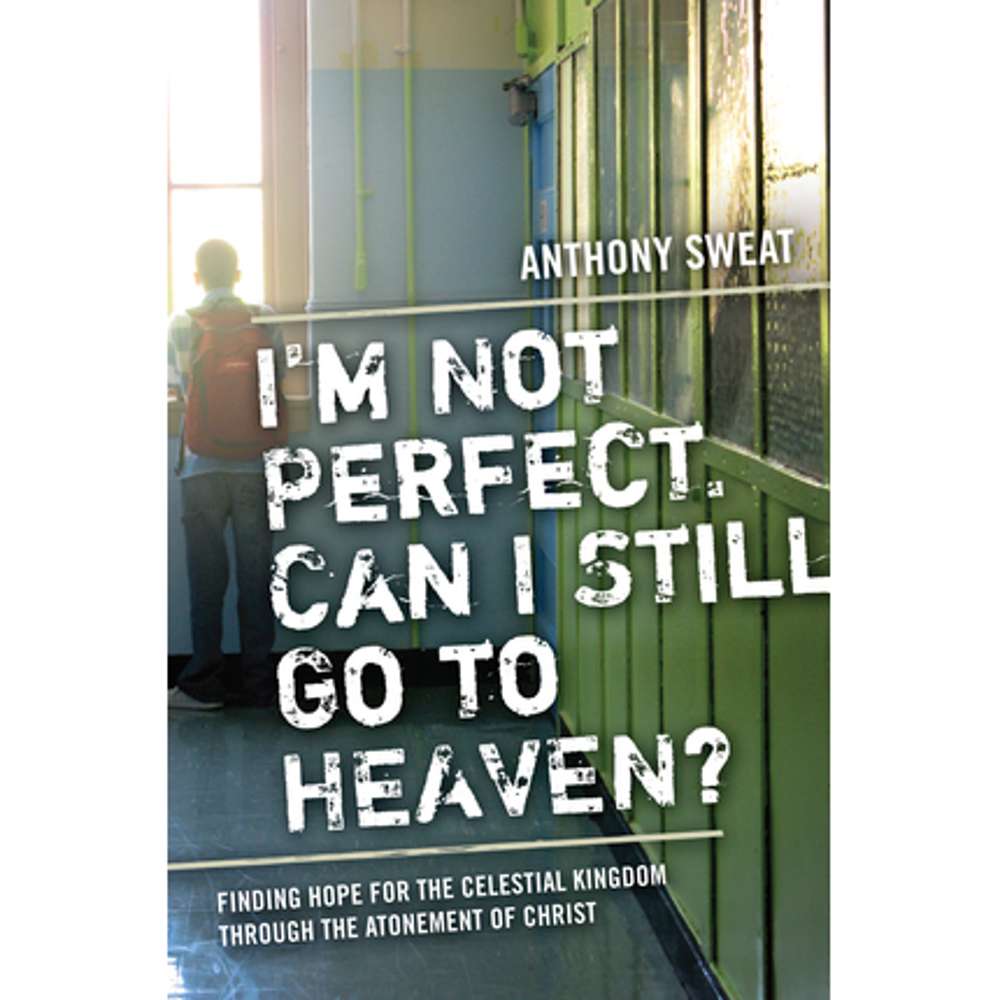I'm Not Perfect Can I Still Go To Heaven 2