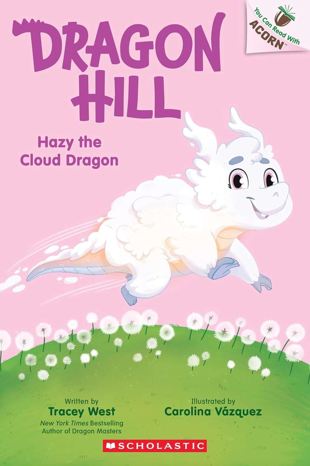 Hazy the Cloud Dragon (Dragon Hill #3)