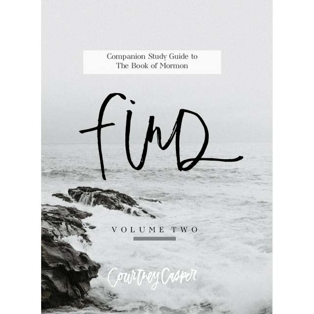Find: Book of Mormon Study Guide, Vol. 2, , large image number 0