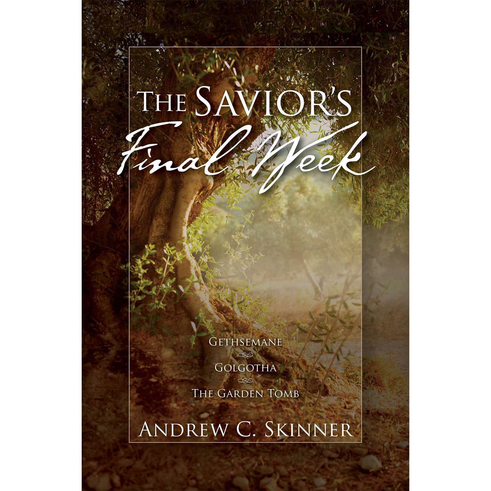 The Savior's Final Week, , large image number 0