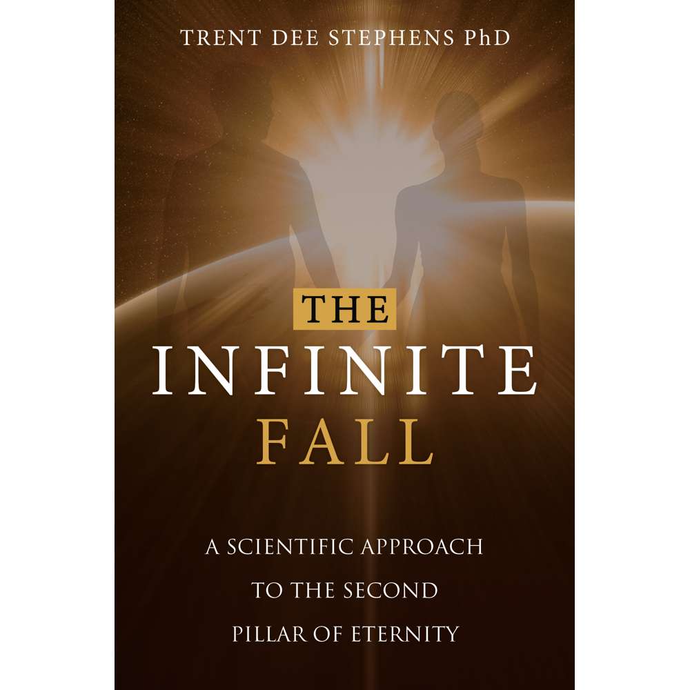 The Infinite Fall 1