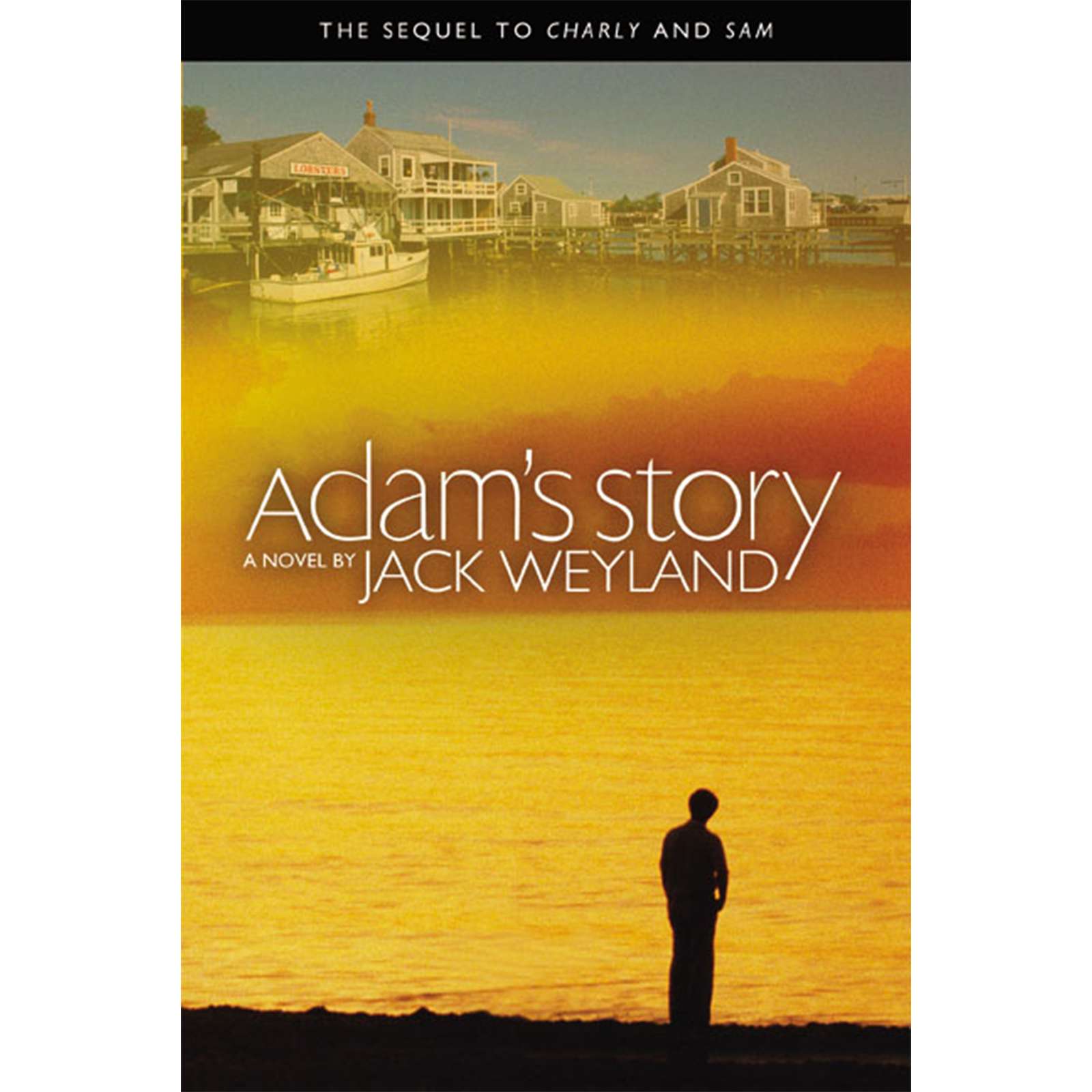 Adam's Story