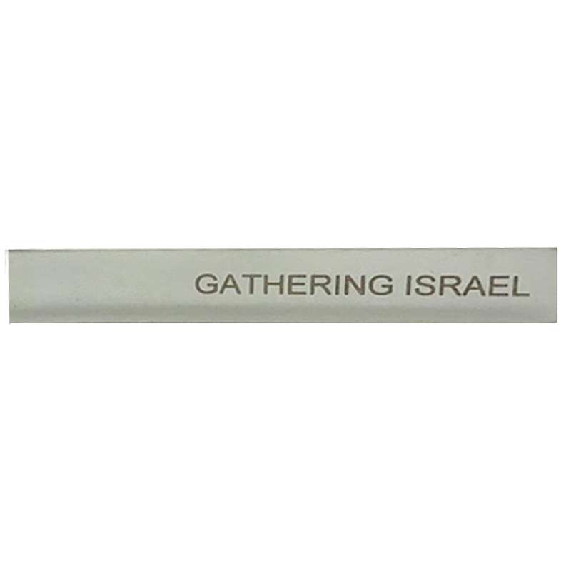 Gathering Israel Tie Bar, , large image number 2