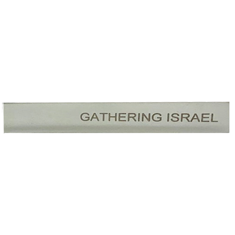 Gathering Israel Tie Bar, , large image number 2