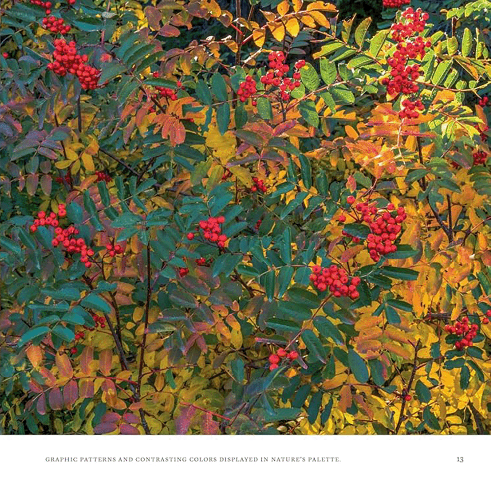 Idaho: Discover the Gem State, , large image number 2