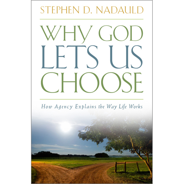 Why God Lets Us Choose