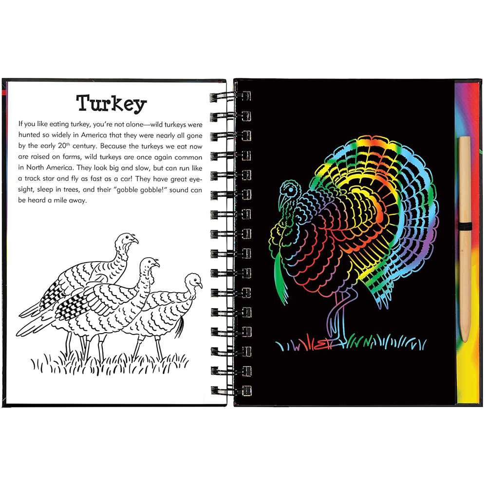 Forest Friends Scratch And Sketch, , large image number 2