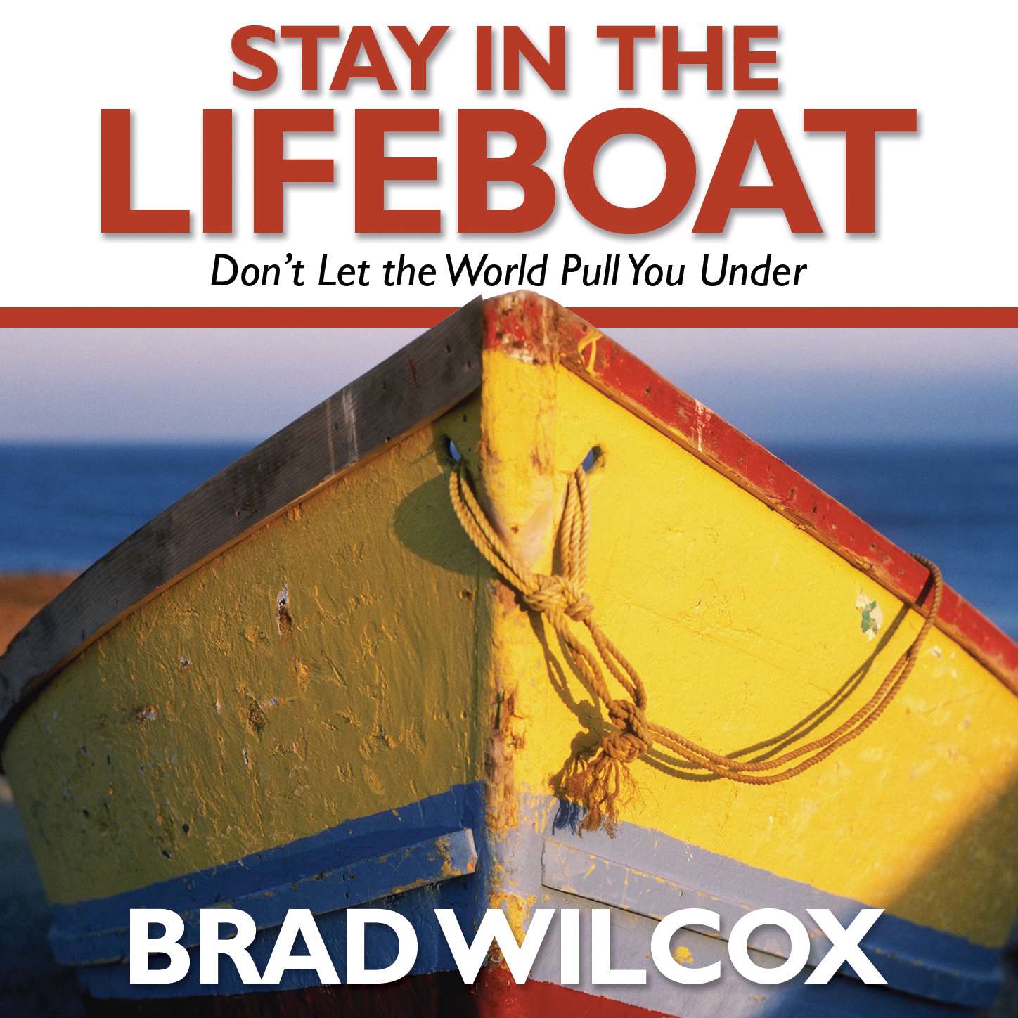 Stay in the Lifeboat, , large