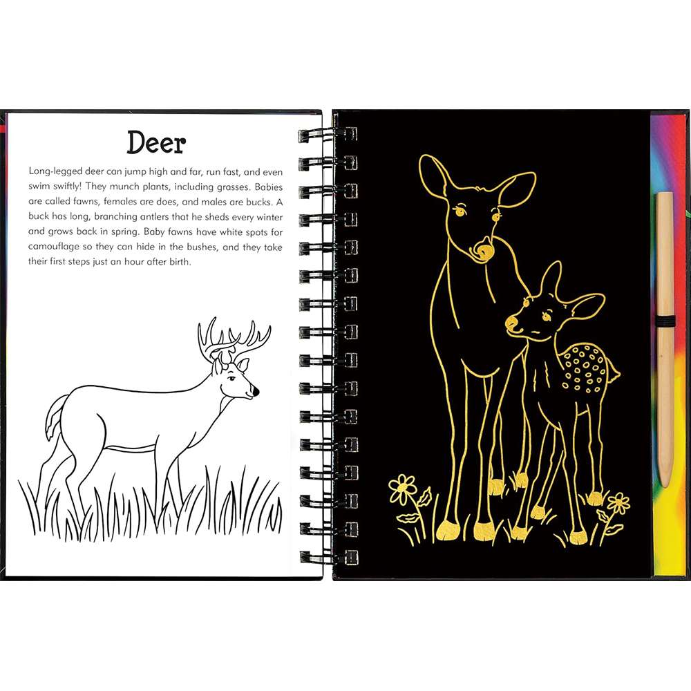 Forest Friends Scratch And Sketch, , large image number 3