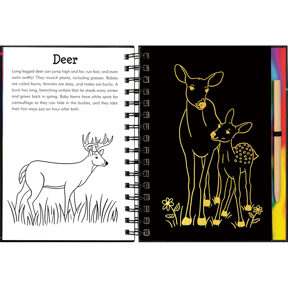 Forest Friends Scratch And Sketch, , large image number 3