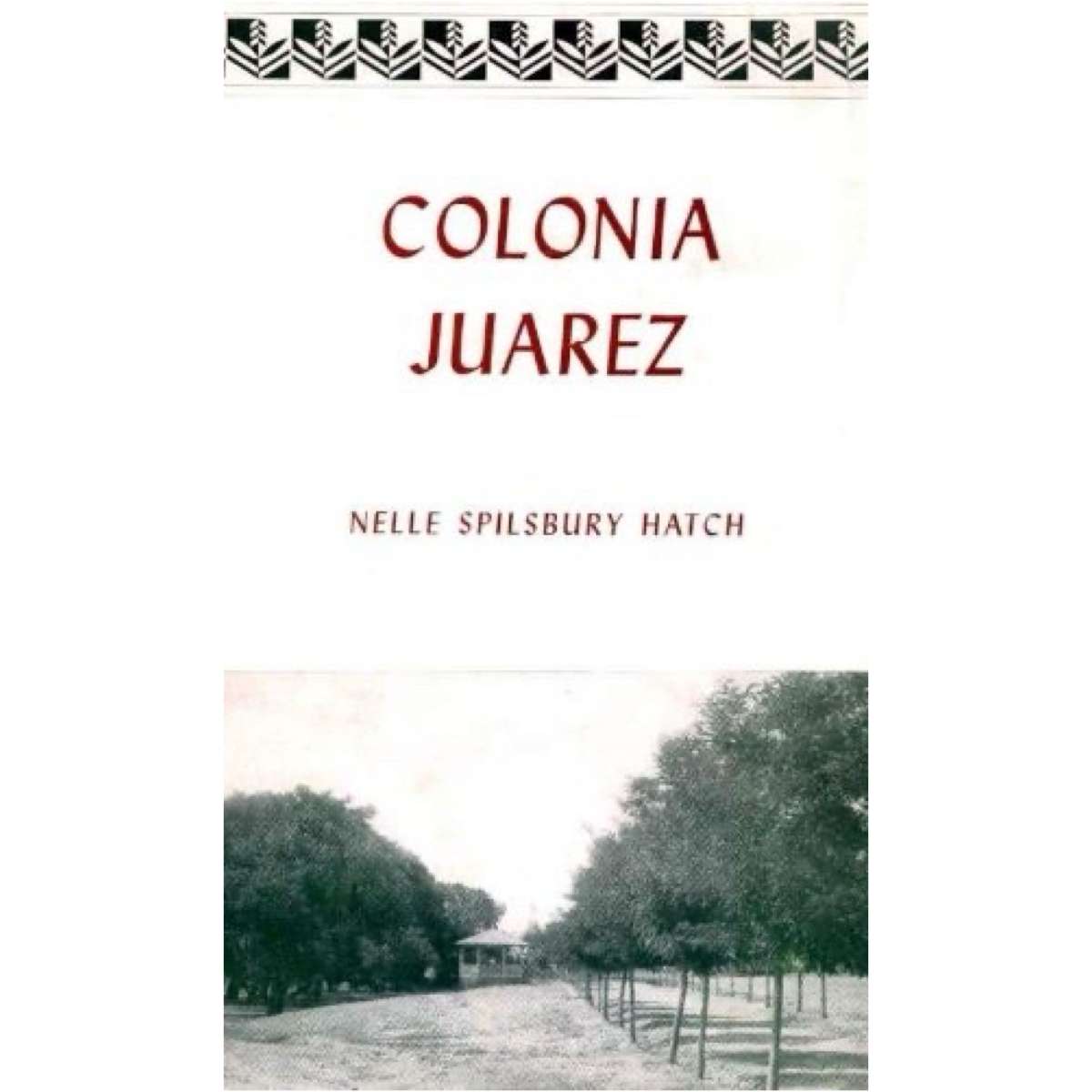 Colonia Juarez
