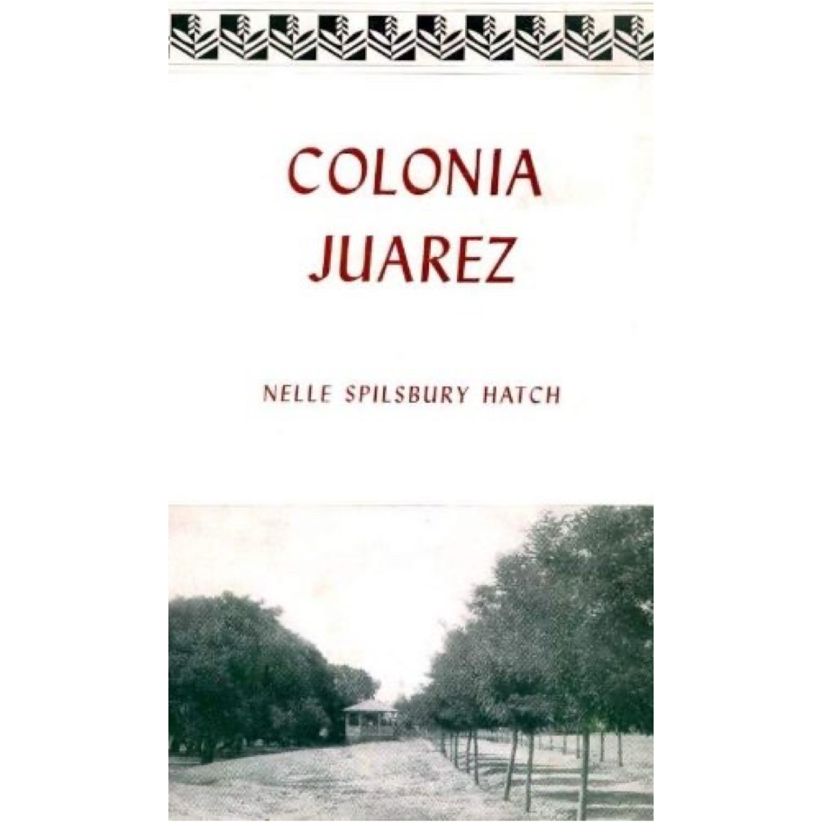Colonia Juarez: An Intimate Account of a Mormon Village