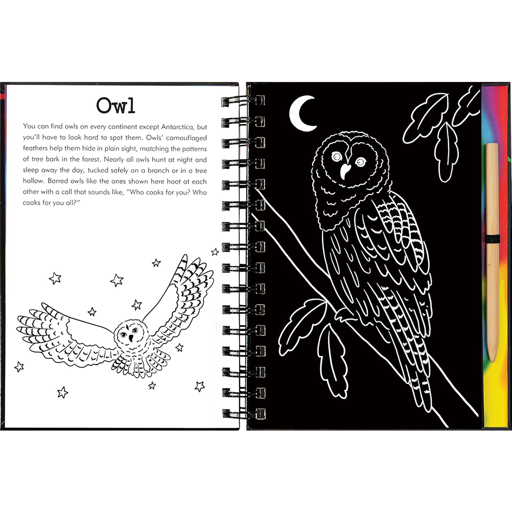 Forest Friends Scratch And Sketch, , large image number 4